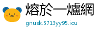 熔於一爐網
